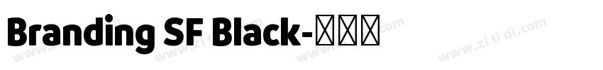 Branding SF Black字体转换